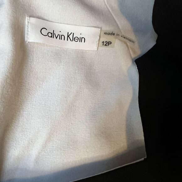 Calvin Klein Petite Cap Sleeve Side Ruched Sheath Dress - Picture 15 of 15